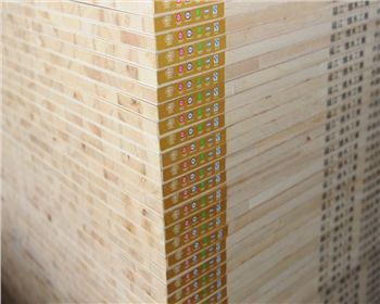 咸陽(yáng)E1級(jí)東北楊-咸陽(yáng)木工板